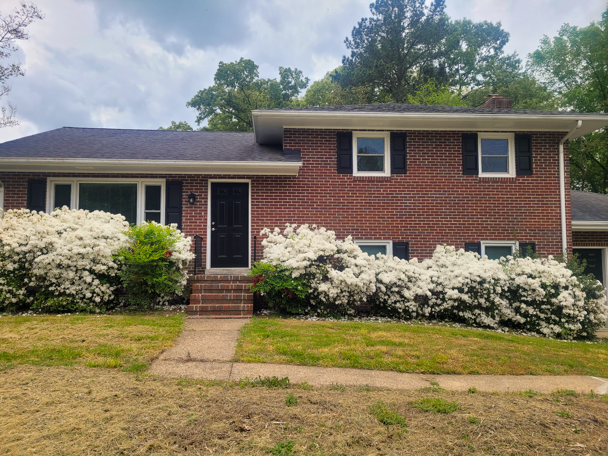 Brick house with black shutters and a black front door, bordered by large blooming white shrubs in the front yard belonging to Sponsored Residential Provider Damian Scudder in Richmond, Virginia.